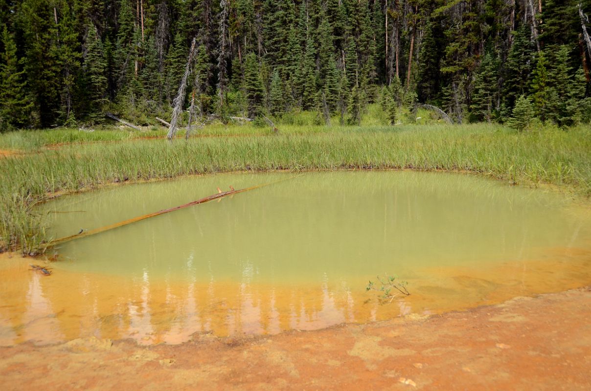 05 Paint Pots Off Kootenay Banff Windermere Highway 93